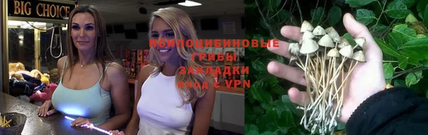 ALPHA PVP Алексин